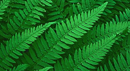 Seamless Background Layered Fern Leaves Deep Green Shades Subtle Shadows