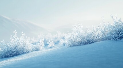 Fototapeta premium Snowy Landscape with Frosted Branches