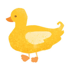 Isolated Ducling Illustration