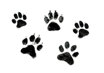 Black animal paw prints on white background in ink style