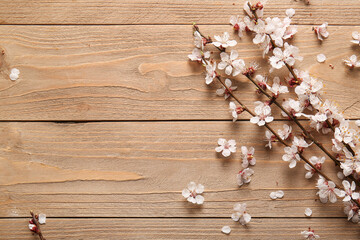 Obraz premium Beautiful blooming branches and flowers on wooden background