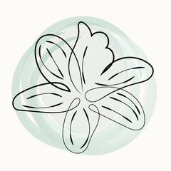 Abstract Line Art Lily Flower on Soft Green Watercolor Background