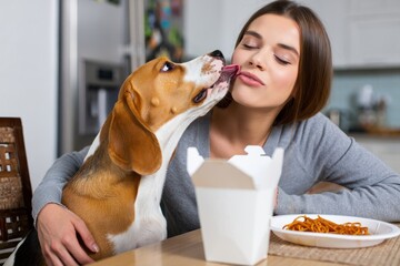 Grateful hound dog licking his female owner on the checks after she gave him a bite a morsel of her take out food