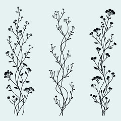 Obraz premium Line art grasses, stems illustration. Black and White Meadow herbs. Herbaceous blooming plants. Set of outline doodle floral sketch Leaves. Hand drawn wild flowers Botanical drawing