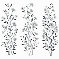 Hand drawn wild flowers Botanical drawing. line art grasses, stems illustration. Black and White Meadow herbs. Herbaceous blooming plants. Set of outline doodle floral sketch Leaves