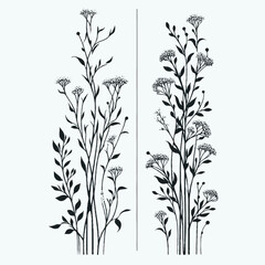 Naklejka premium Hand drawn wild flowers Botanical drawing. line art grasses, stems illustration. Black and White Meadow herbs. Herbaceous blooming plants. Set of outline doodle floral sketch Leaves