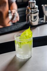 Refreshing Cocktail Icy Drink with a Garnish of Green Leaf in a Stylish Glass
