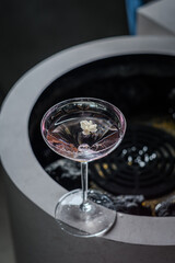 Pink Cocktail in Crystal Coupe Serene Aquatic Still Life