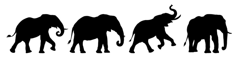 Fototapeta premium Set of african elephant silhouette – vector illustration