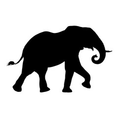 African elephant silhouette &ndash; vector illustration