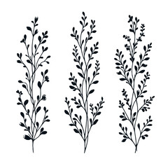 Hand drawn wild flowers Botanical drawing. line art grasses, stems illustration. Black and White Meadow herbs. Herbaceous blooming plants. Set of outline doodle floral sketch Leaves
