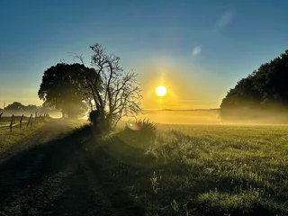 Sonnenaufgang am Gothensee bei Gothen auf Insel Usedom im Sommer © Marc Jedamus