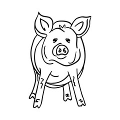 Contour illustration of a piglet, farm animals. A pig drawn by hand. The concept of rural products and animal husbandry. Hand-drawn vector illustration for packaging, postcards and T-shirts.