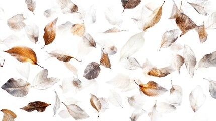 Falling autumn leaves