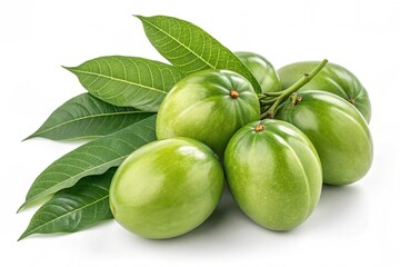 Green mangoes cluster of unripe fruit isolated on white background