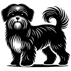 Black and White Shih Tzu Vector Silhouette Illustration