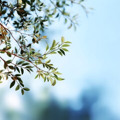 Delicate Green Leaves Against a Soft Blue Sky with Subtle Bokeh Effect, Representing Nature's Beauty and Tranquility in a Refreshing Outdoor Scene