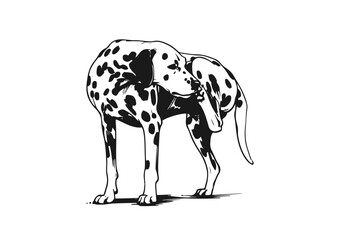 Dalmatian Dog Hand Drawn Illustration Sketch Vector Isolated by AZ for Books, Arts, Design and Decoration Graphic Asset