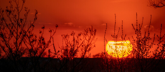 Beautiful sunset