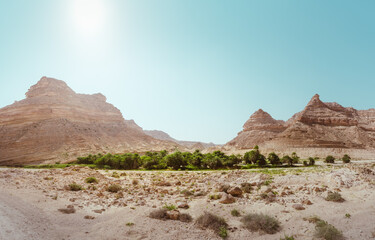 Oase in der Wüste am Meer Salalah Oman