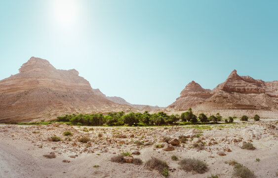 Oase in der W&uuml;ste am Meer Salalah Oman