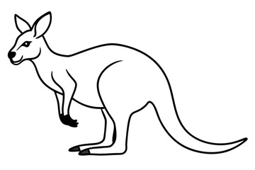 Kangaroo One-Line Sketch