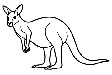 Kangaroo One-Line Sketch