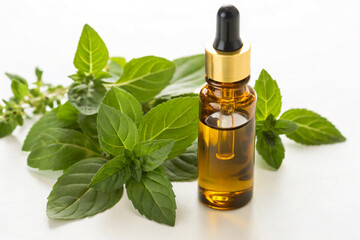 Holy basil essential oil bottle with fresh leaves – antioxidant rich