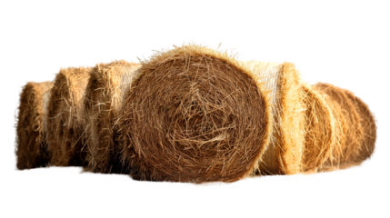 Farm Hay Bales Summer Harvest Texture, Rural Agriculture Background.