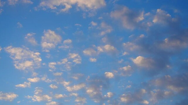 Altocumulus high cumulus heaped cloud genus belongs to stratocumuliform. Globular masses or rolls in layers or patches. Cumuliform stratocumuliform clouds, altocumulus signifies convection. Blue sky.
