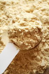 Whey protein powder in a white measuring spoon