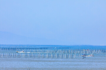 春の有明海　のり養殖　佐賀県太良町　Ariake Sea in Spring. Nori farming. Saga Pref, Tara town.