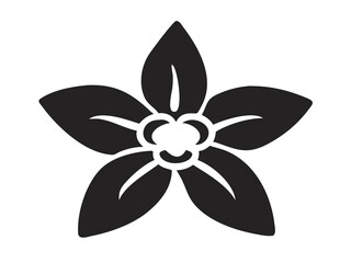 Borage Flower Illustration for Botanical Art, Herbaceous Bloom Graphics, Garden Flower Sketch