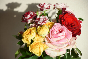 カラフルなばら