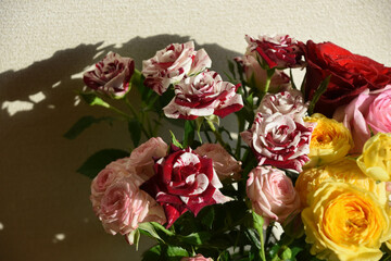 カラフルなばら