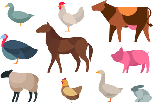 Farm birds and animals silhouette in cartoon simple style. Duck, rooster, cow, turkey, horse, pig, sheep, chicken, goose, rabbit. Colorful flat character design. Fashion child vector illustration.