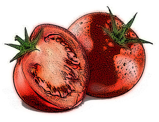 a few tomatoes, one whole and one sliced in half, are depicted with green stems.