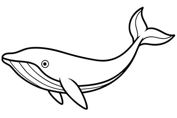Minimalist Whale Vector