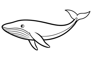 Minimalist Whale Vector