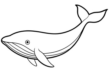 Minimalist Whale Vector