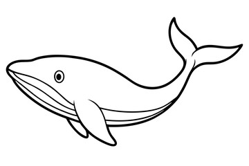 Minimalist Whale Vector