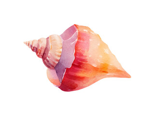Fototapeta premium A watercolor painting of a shell with a pink and orange hue