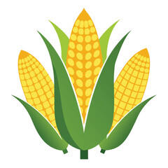 American corn on the cobs set shilhotee vector isolated on white background