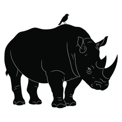 Rhino standing on white background in a wildlife setting with a large horn and gray silhouette