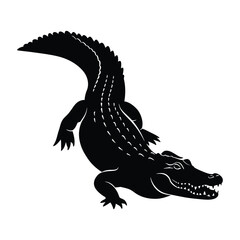 Black and white cocodile vector illustration with reptile features on a white background