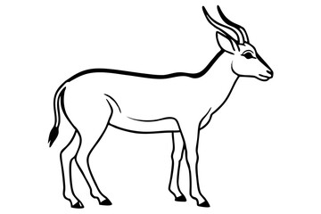 Modern Saiga Antelope Art