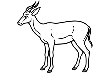 Modern Saiga Antelope Art