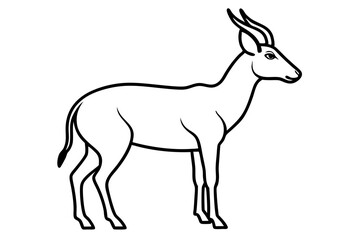 Modern Saiga Antelope Art