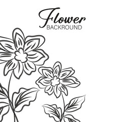 Elegant Black and White Flower Background Illustration