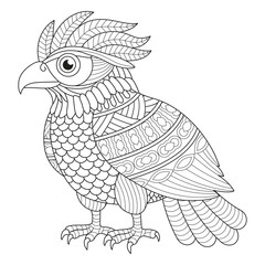 Intricate Owl Illustration for Coloring